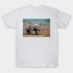 White Rhinoceros Zulu Nyala Game Reserve South Africa T-Shirt